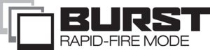 Burst Logo