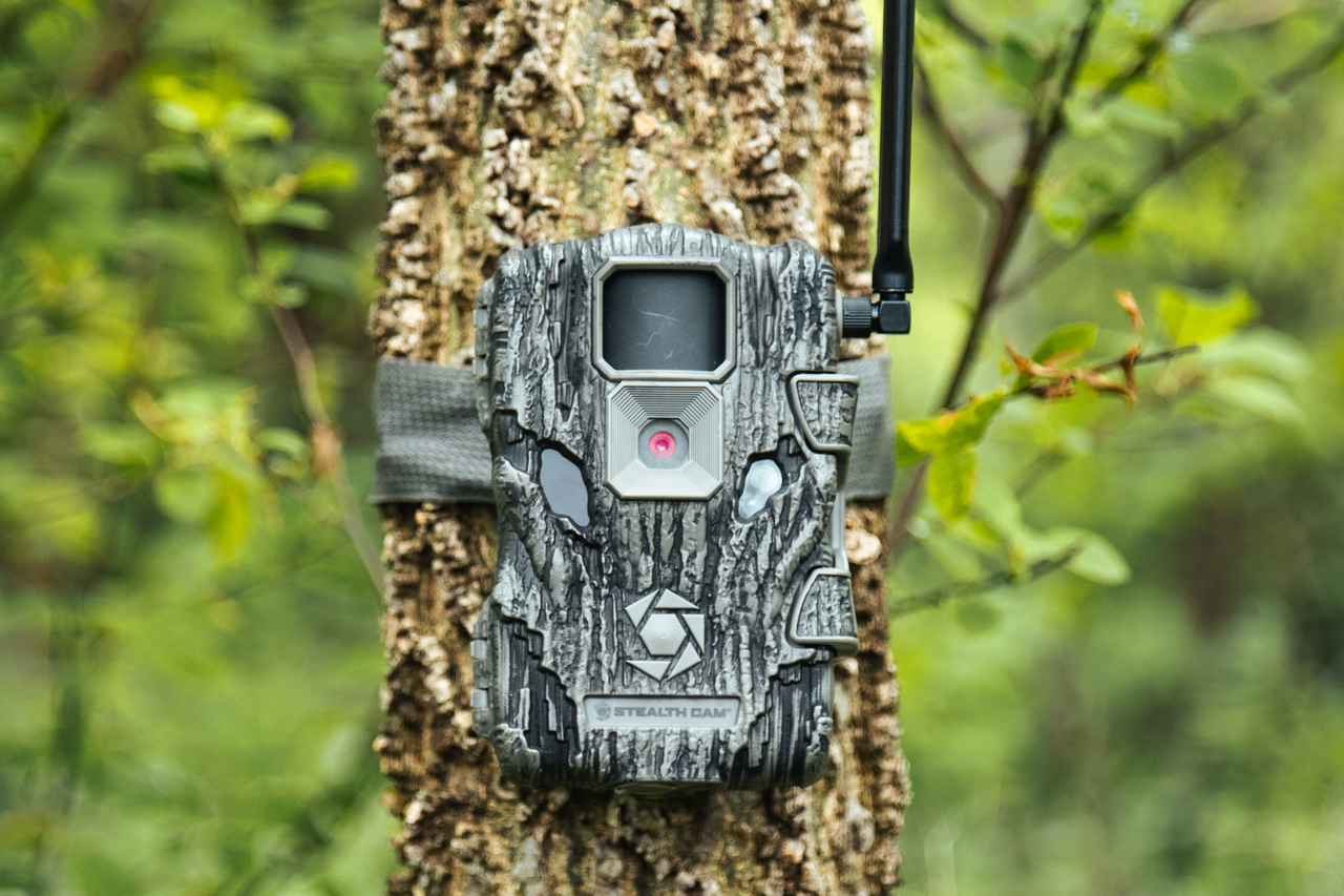 fusion x cellular trail camera