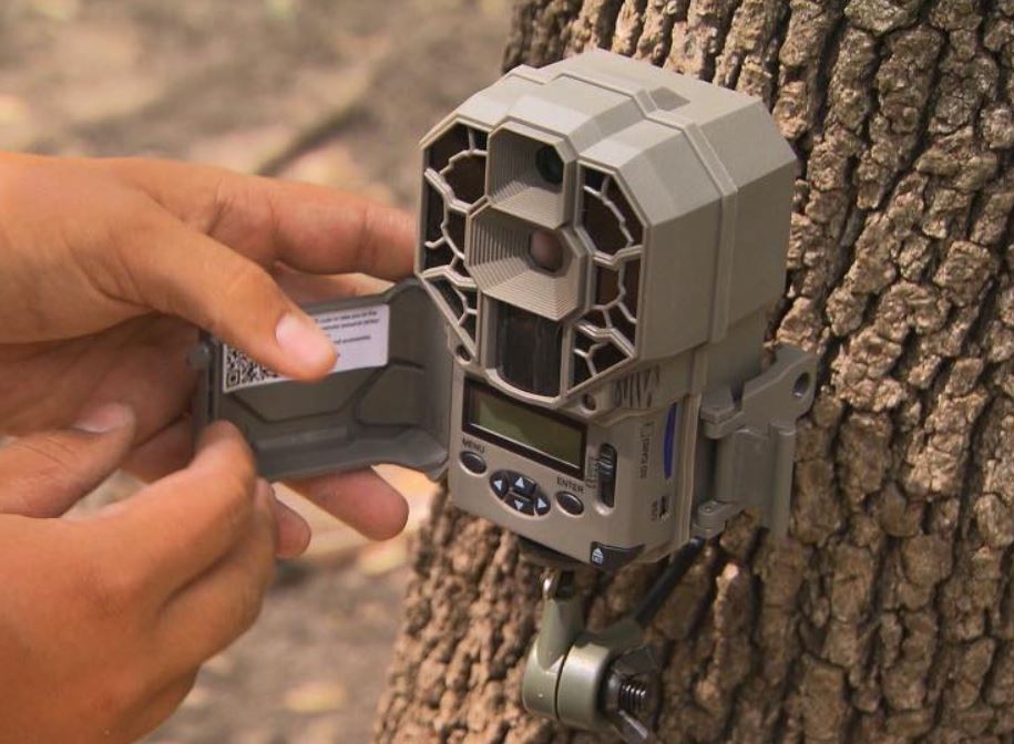 Trail Cameras | Rut Camera Strategies