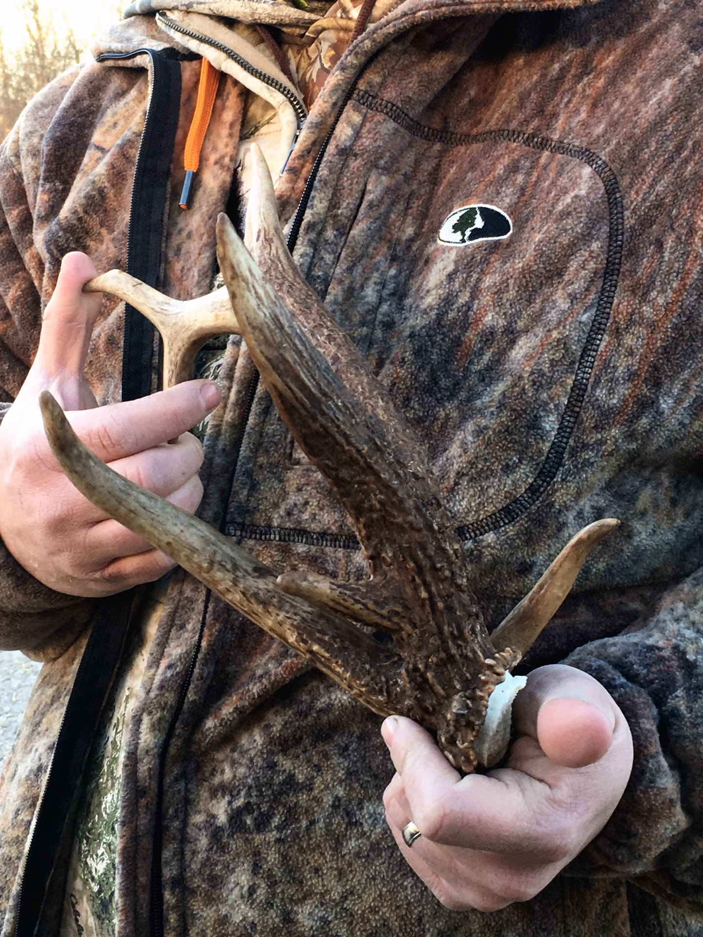 Find Shed Antlers With Cellular Cameras And Gain An Advantage On Mature