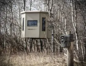 Stay On A Deer's Trail With Summer And Fall Game Camera Transitions