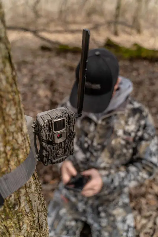 Stay On A Deer's Trail With Summer And Fall Game Camera Transitions