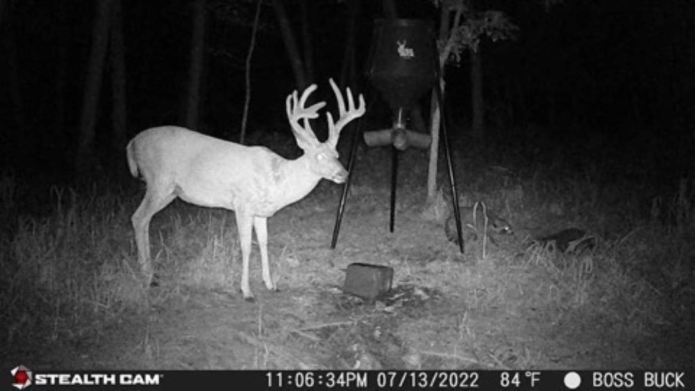 Game camera deals 2 pack