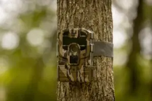 overcome Late Season Fatigue By Using Cellular Game Cameras