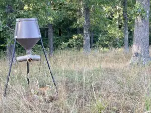 summer Deer Feeder Essentials