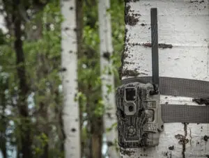 October Trail Camera Strategies