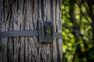 How To Reduce False Triggers