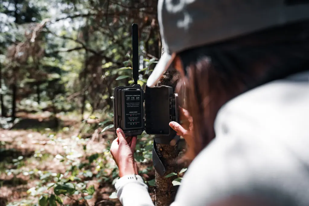 More Ways To Analyze Your Photos