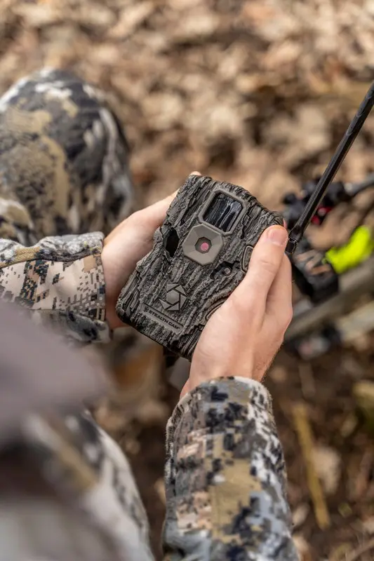 Hunting Scrape Lines A Comprehensive Guide Stealth Cam