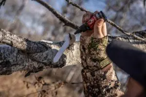 Hunting Scrape Lines: A Comprehensive Guide
