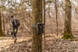 Maximizing Cellular Cameras On Public Lands: Overcoming Challenges And Enhancing Stealth
