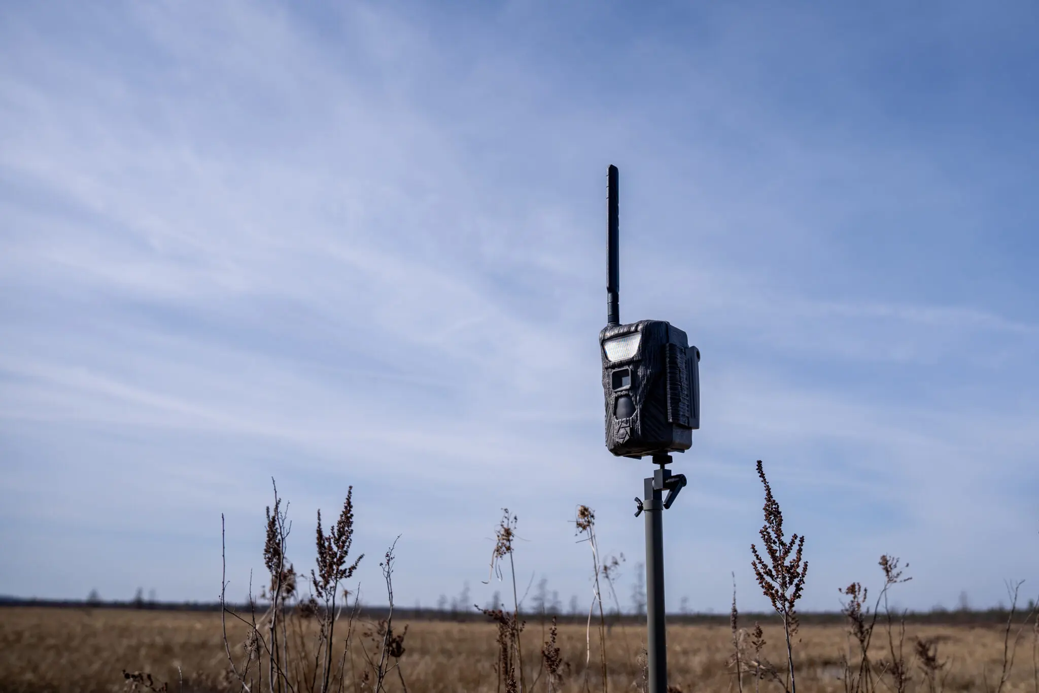 Flashback Xenon Flash Trail Camera | Stealth Cam