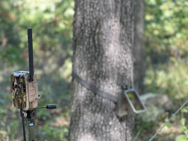 Maximizing Cellular Cameras On Public Lands: Overcoming Challenges And Enhancing Stealth