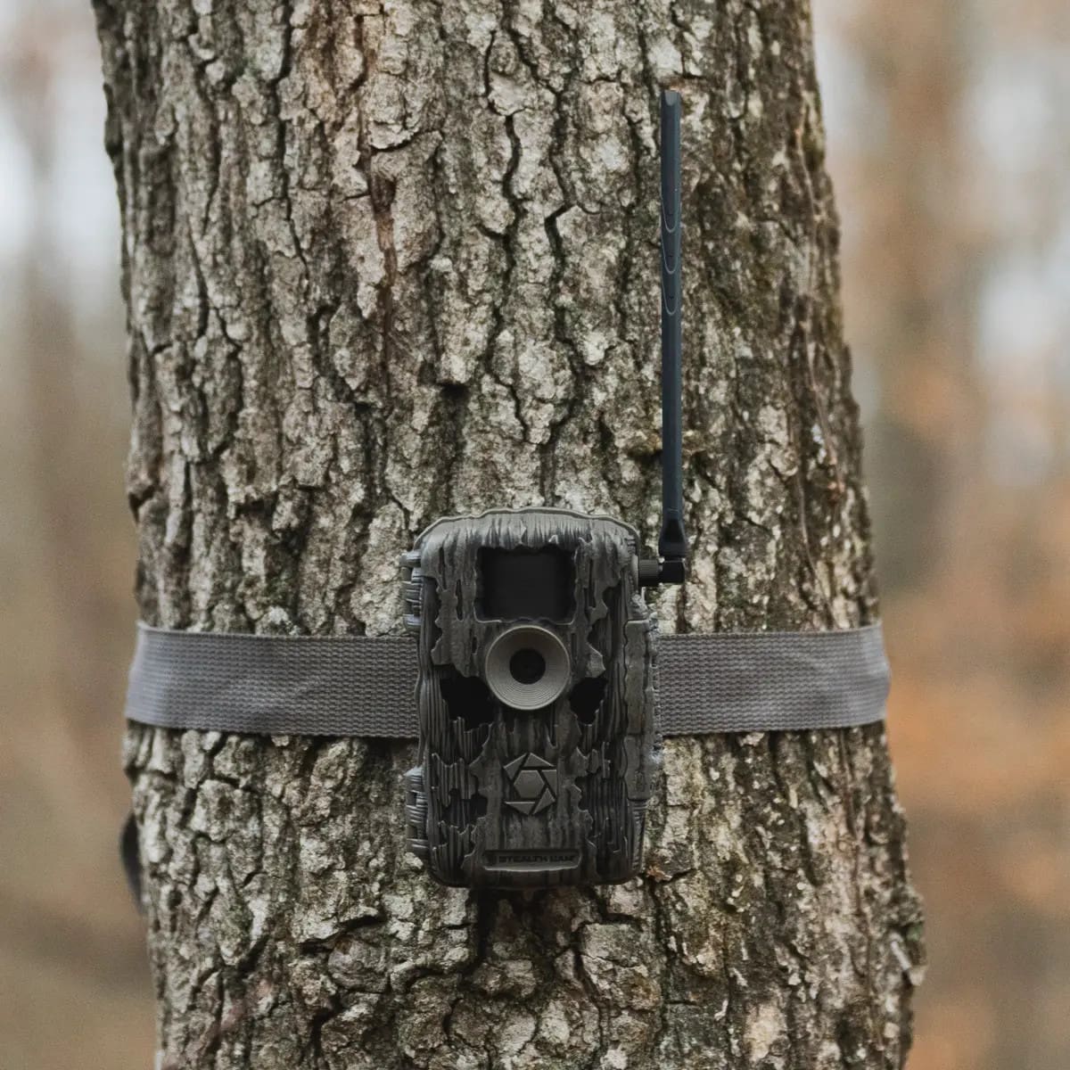 Stealth Cam Best Game Camera 2020 Stealth Cam Best Cellular Deer