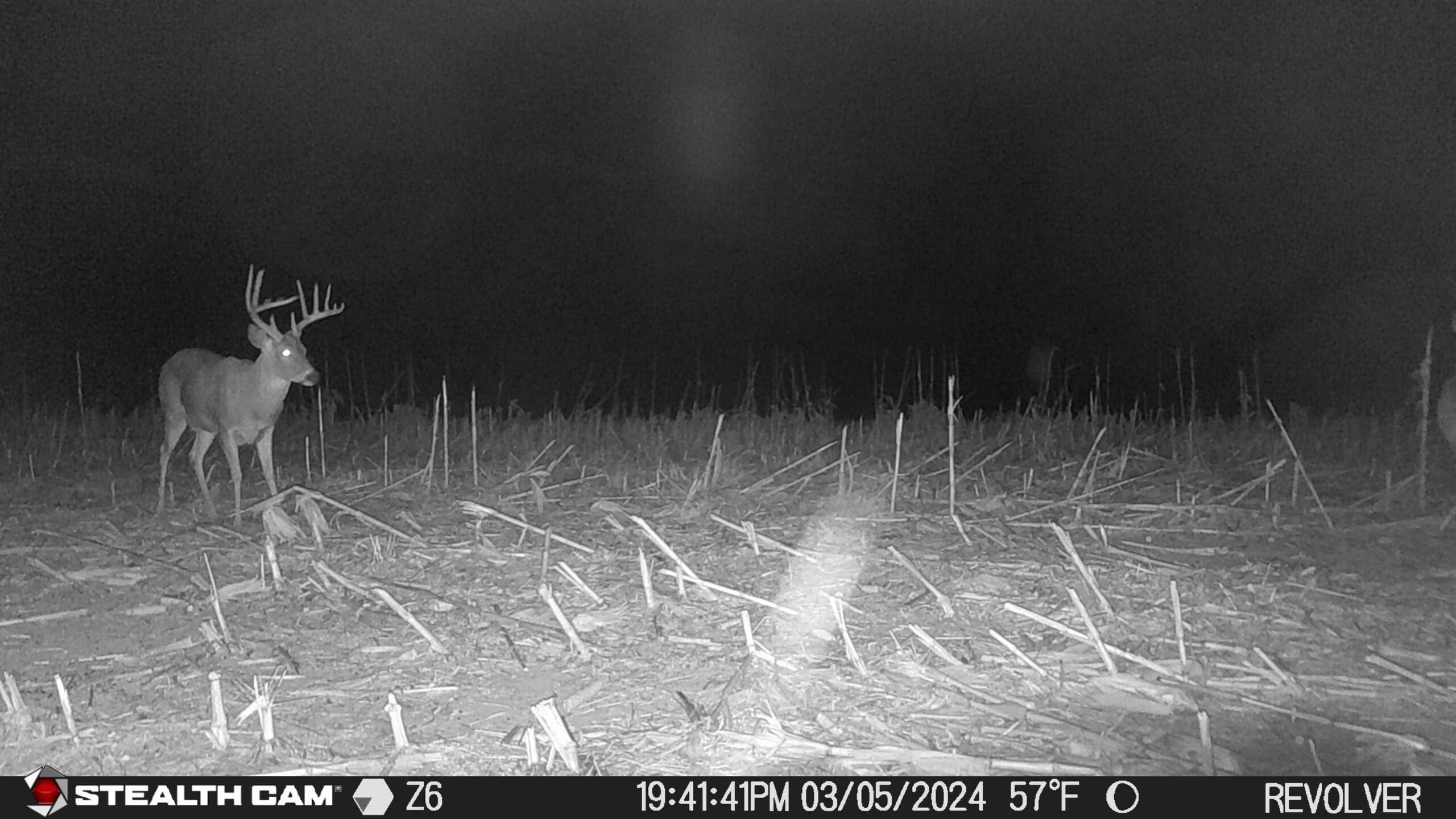 Revolver Pro 360° Cellular Trail Camera Stealth Cam
