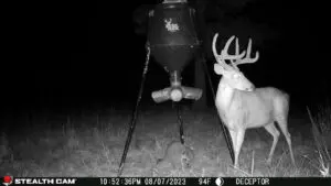 How To Pattern Early Season Bucks With Cellular Cameras