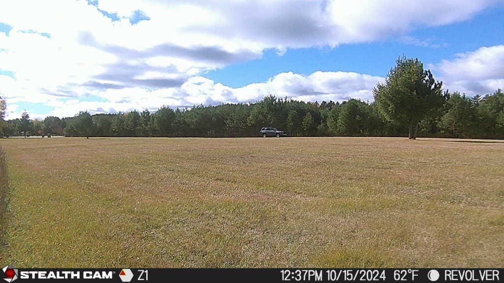 15 Reasons Why One Cellular Trail Camera Won't Cut It