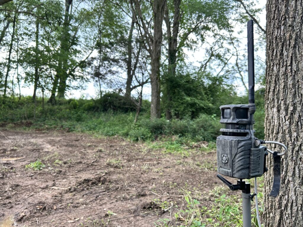 How To Tag That Huge Buck On Your Trail Camera