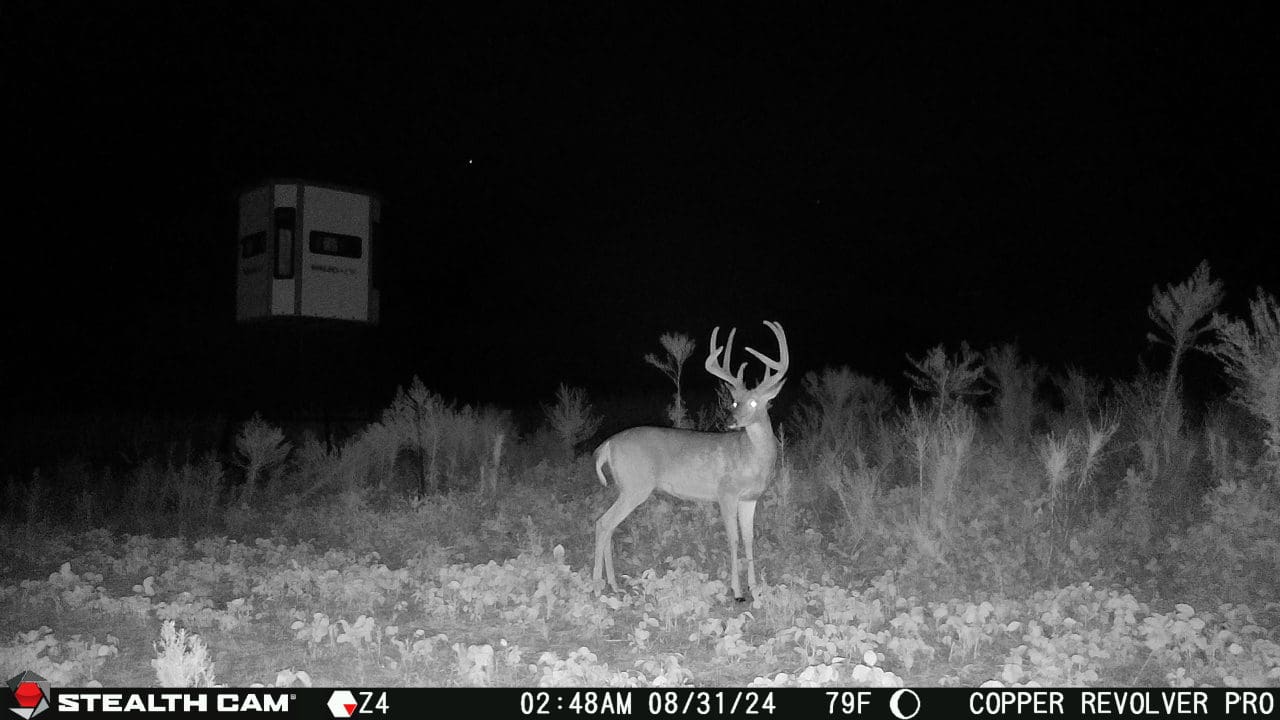15 Reasons Why One Cellular Trail Camera Won't Cut It