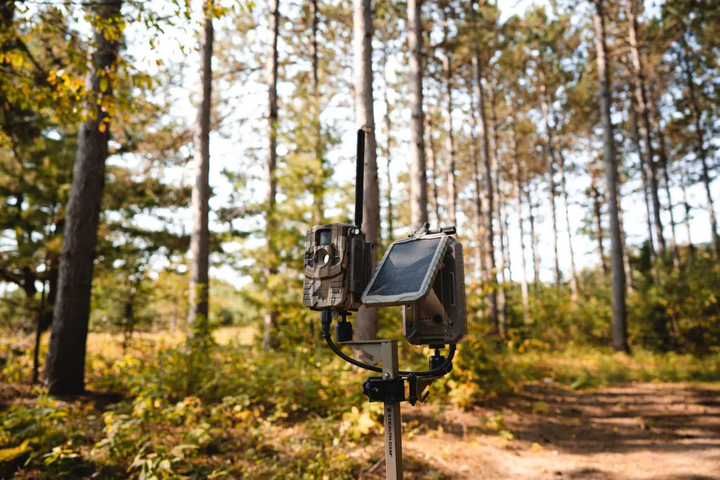 15 Reasons Why One Cellular Trail Camera Won't Cut It