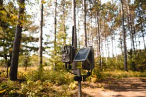 15 Reasons Why One Cellular Trail Camera Won't Cut It
