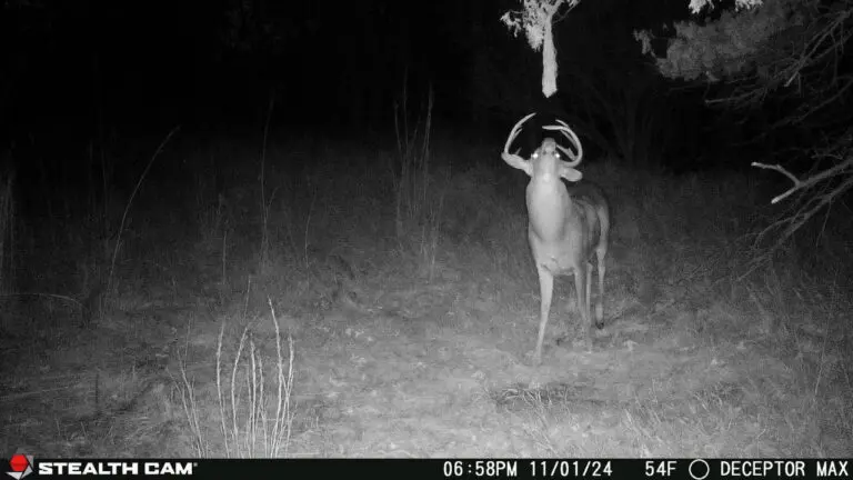Trail Camera[MP:00][TP:054F]