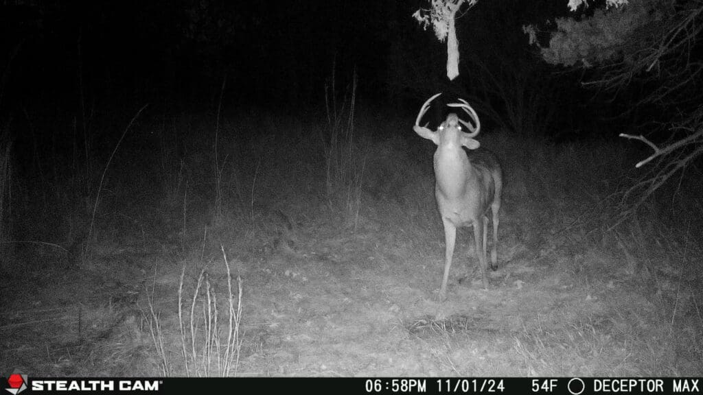 Deceptor Max Cellular Trail Camera Cell Camera Antler River