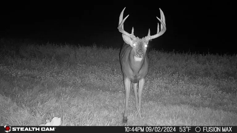 Trail Camera[MP:00][TP:053F][IMEI:860516069172371]