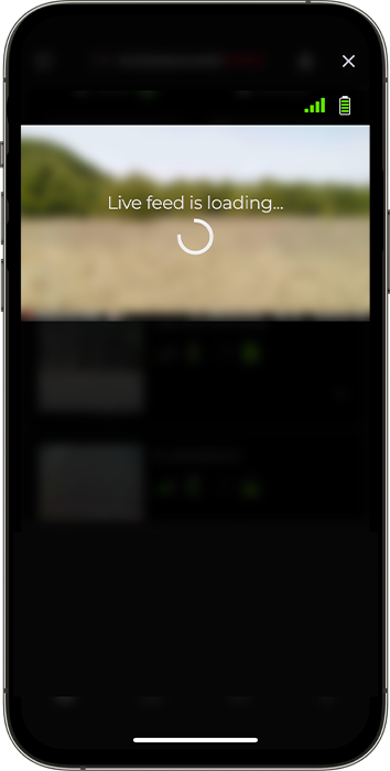Live View