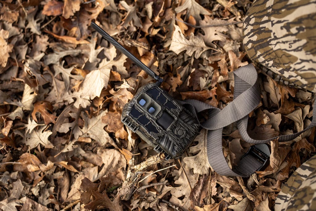 What's New This Trail Camera Season