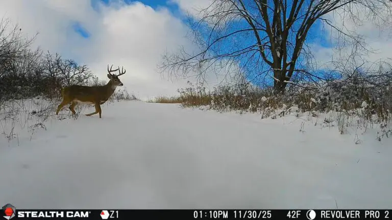 Trail Camera[MP:03][TP:042F]