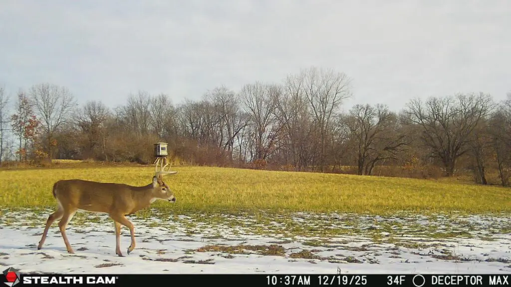 Trail Camera[mp:00][tp:034f]