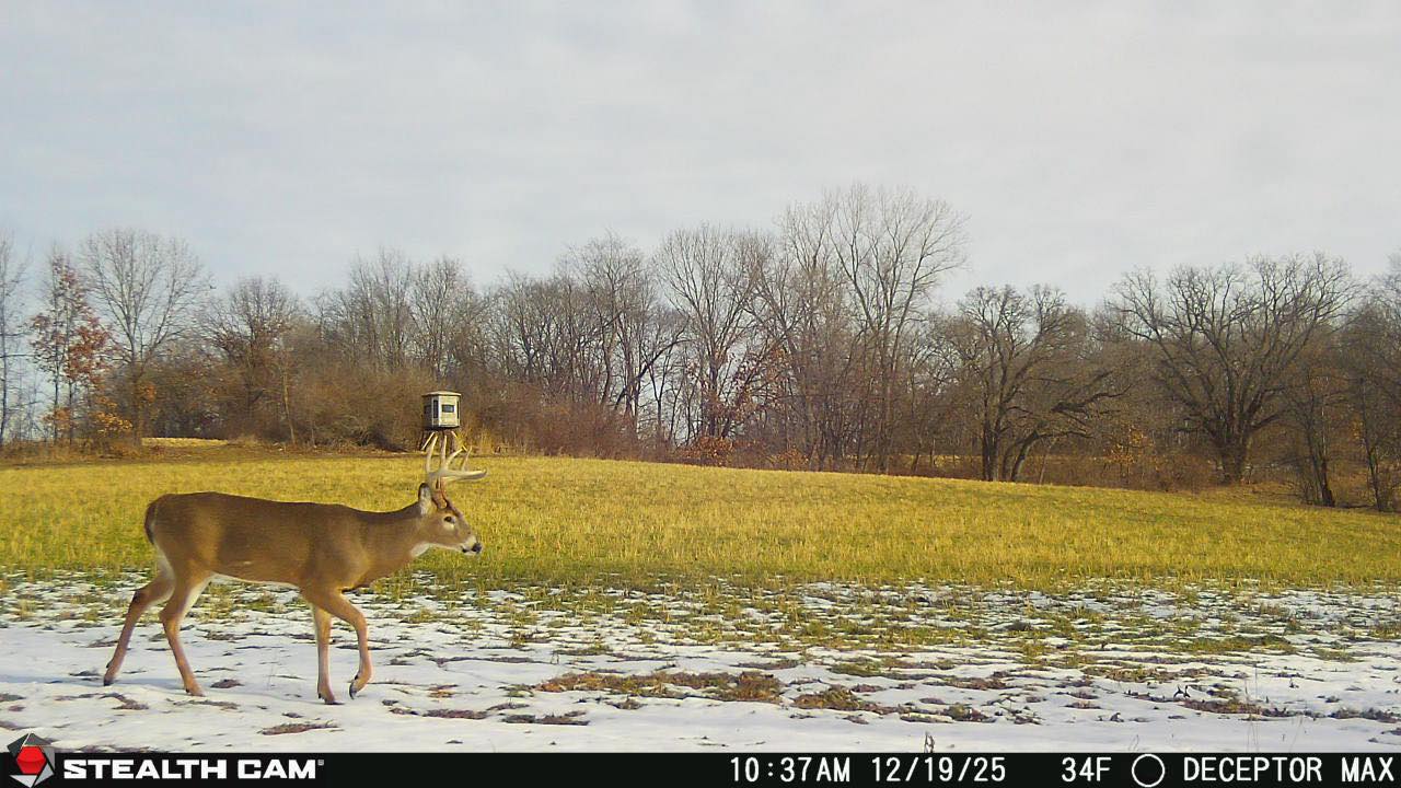 Trail Camera[mp:00][tp:034f]