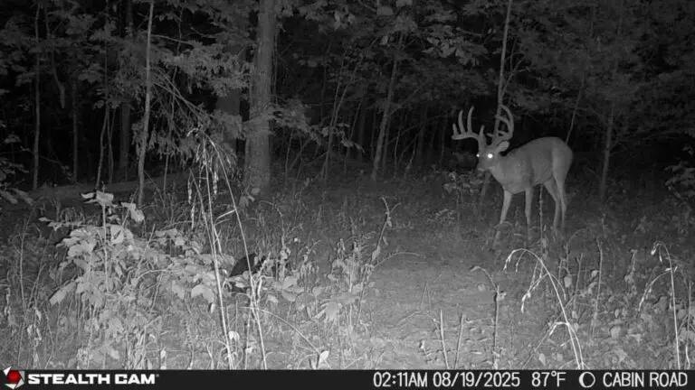 Trail Camera[MP:07][TP:087F][IMEI:862990072467854]