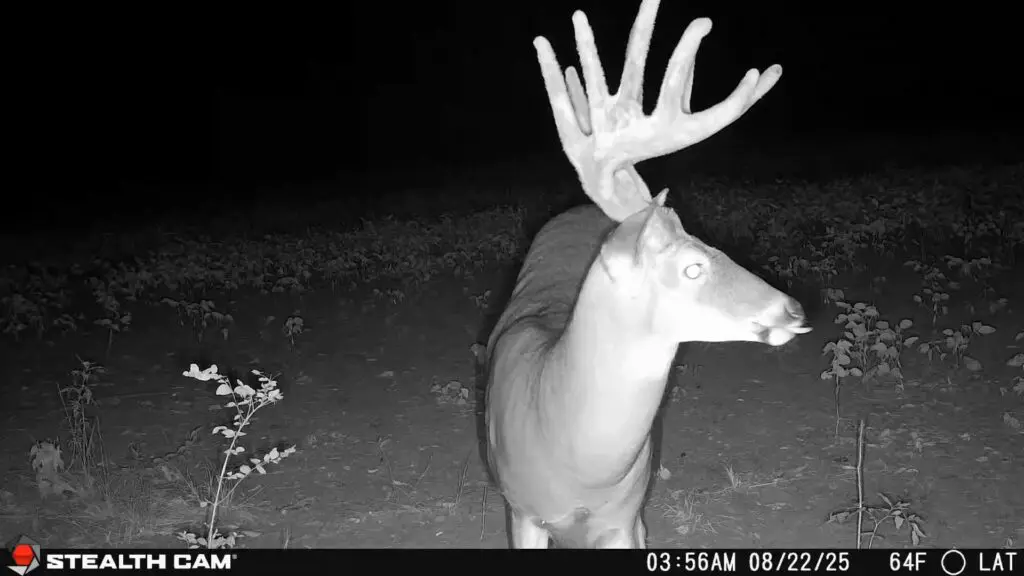 Deceptor™ Max 3.0 Cellular Trail Camera – 2 Pack