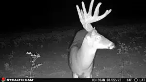 Deceptor™ Max 3.0 Cellular Trail Camera – 2 Pack