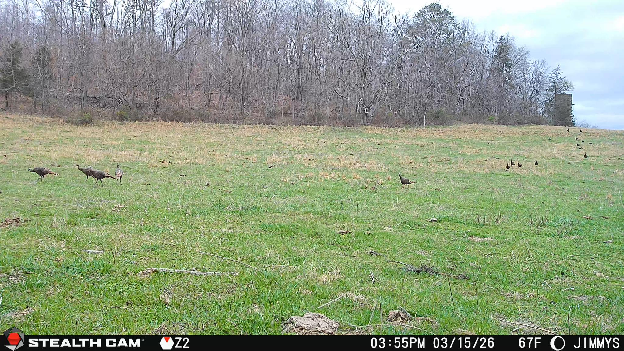 Spring Trail Cam Guide