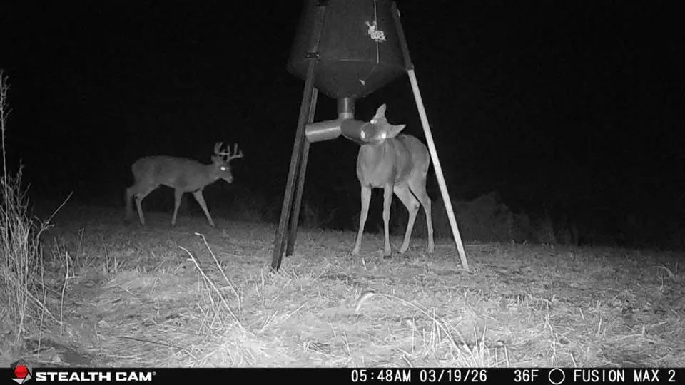 Spring Trail Cam Guide