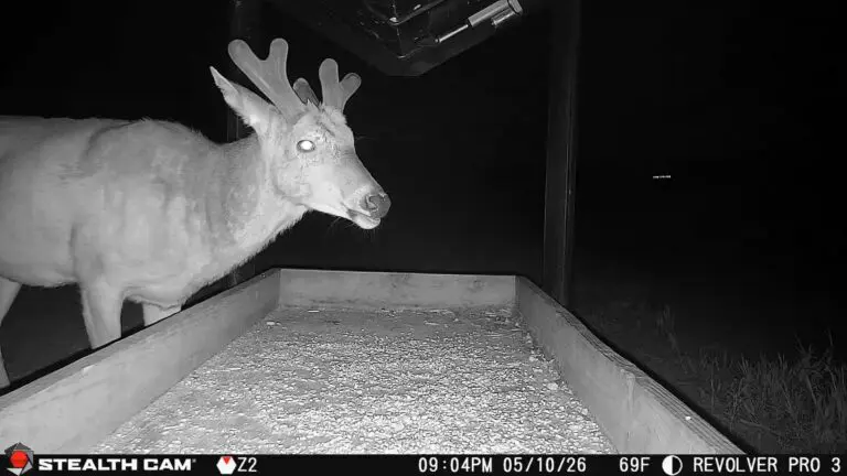 Trail Camera[MP:06][TP:069F]