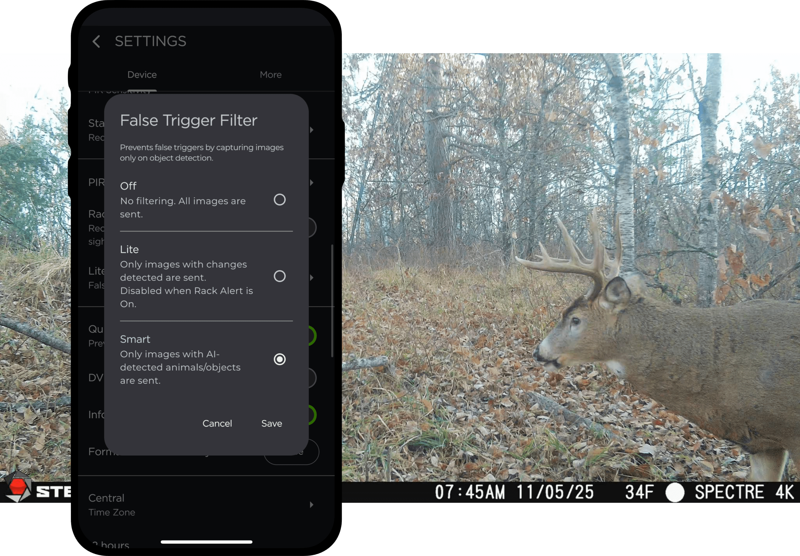 False Image Detection