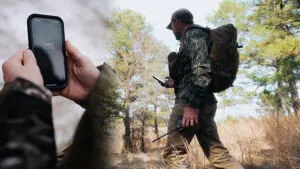 Early Summer Scouting Command