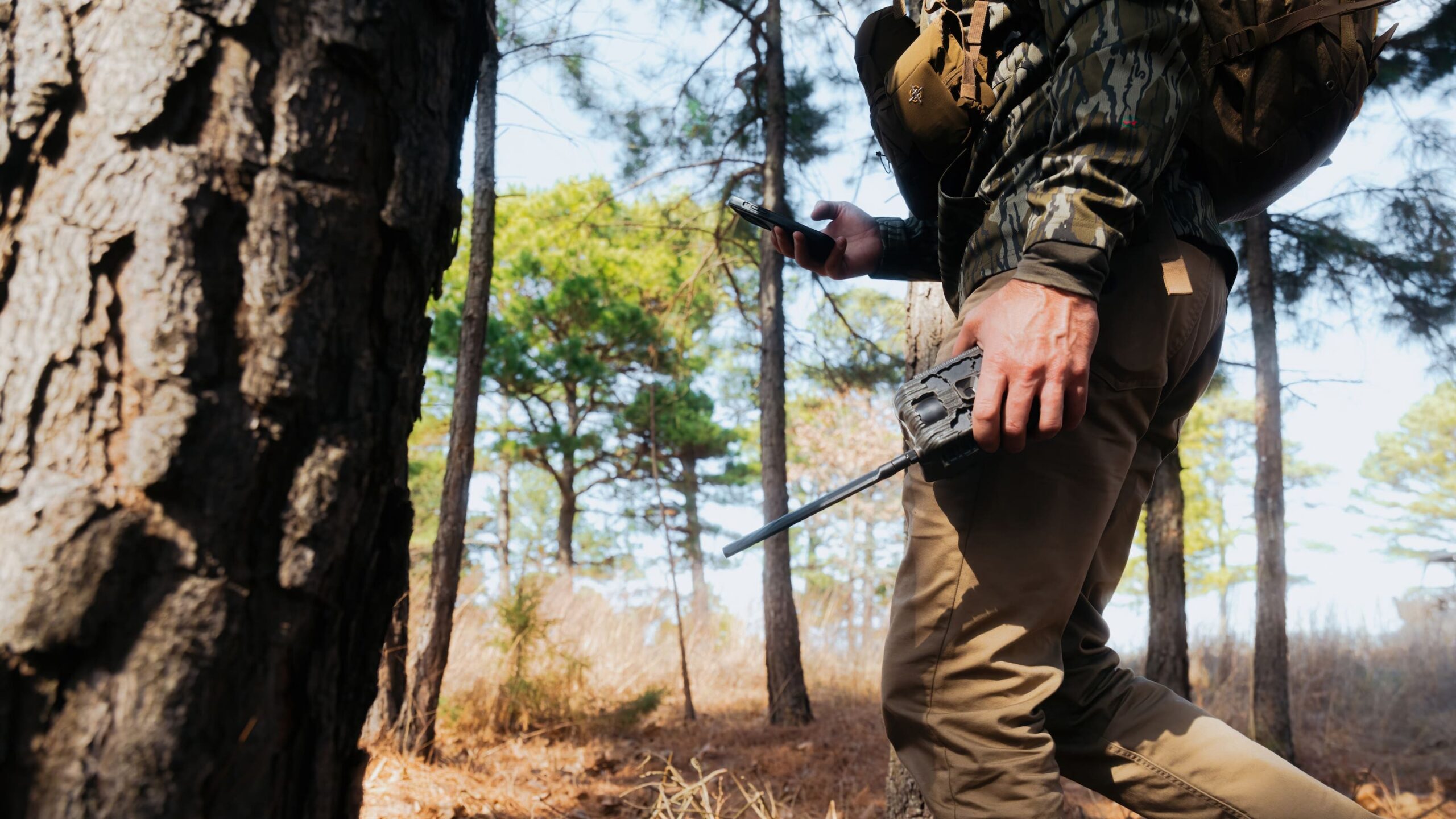 Hunter walking through pines carrying a Stealth Cam cellular trail camera and checking his phone