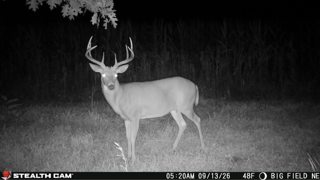 Two New Whitetail Features In Command