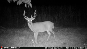 Two New Whitetail Features In Command